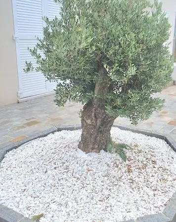 Maison De Charme Recente Avec Piscine Hors Sol *